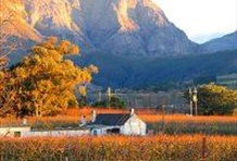 Half Day Cape Winelands Tour